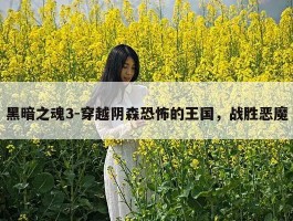 黑暗之魂3-穿越阴森恐怖的王国，战胜恶魔