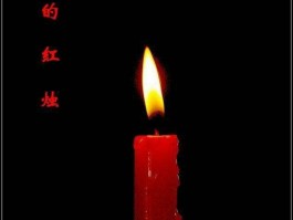 烈焰照耀：火焰照亮黑暗的光芒
