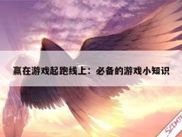 赢在游戏起跑线上：必备的游戏小知识