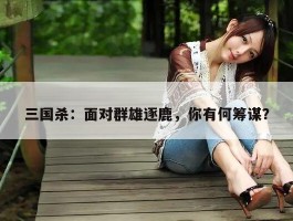 三国杀：面对群雄逐鹿，你有何筹谋？