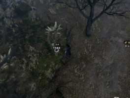 破晓黎明：《群星》单机攻略揭秘！