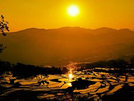 烈焰磅礴：感受火焰的磅礴气势