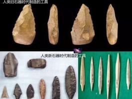石器时代私服发布网：探寻远古人类的起源与发展