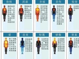 揭秘医学真相，让你了解身体健康的秘密