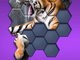 疯狂猜图：让你爱不释手的智力游戏！