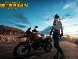 《绝地求生》：生死较量，战场硝烟