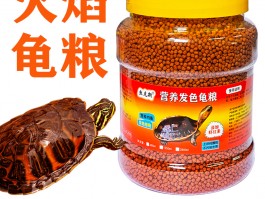 烈焰之影：火焰在暗夜中的璀璨身影