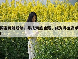 探索沉船残骸，寻找海底宝藏，成为寻宝高手！
